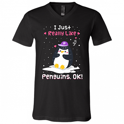 V-Neck T-Shirt