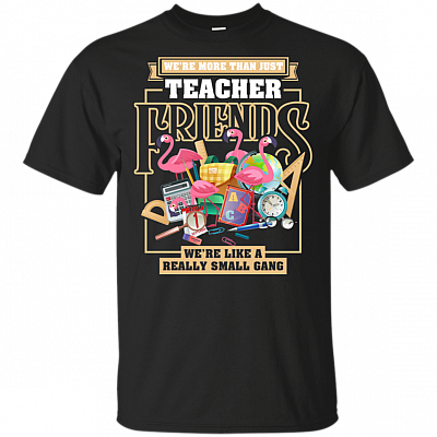 We're More Than Just Teacher Friends T-Shirt - Funny Flamingo Shirt