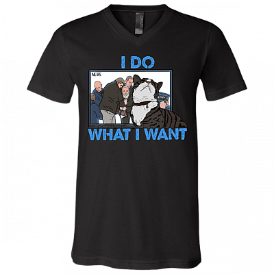 V-Neck T-Shirt
