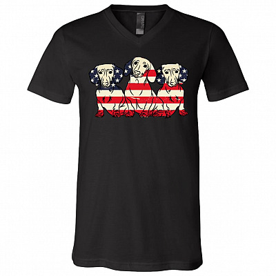 V-Neck T-Shirt