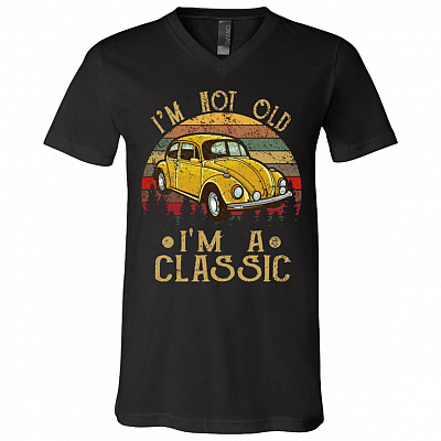 V-Neck T-Shirt