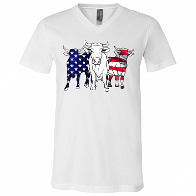 V-Neck T-Shirt