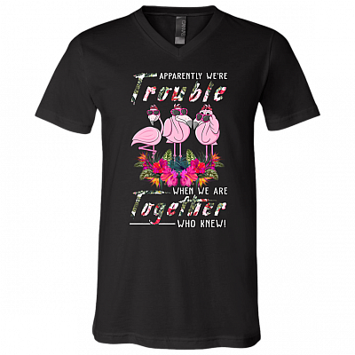 V-Neck T-Shirt