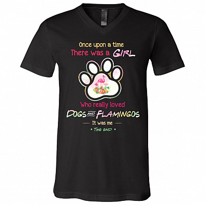 V-Neck T-Shirt