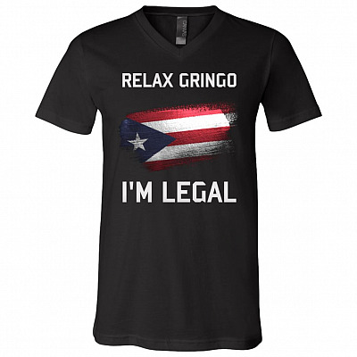 V-Neck T-Shirt