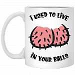 I Used To Live In Your Balls Funny Fathers Ceramic Coffee Mug - Beer Stein -Water Bottle - Color Changing Mug