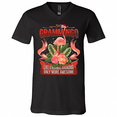 V-Neck T-Shirt
