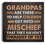 Grandpas Are There To Help Children Get Into Mischief Gallery Wrapped Framed Canvas Prints - Unframed Poster