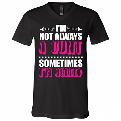 V-Neck T-Shirt