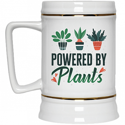 22 oz. Beer Stein