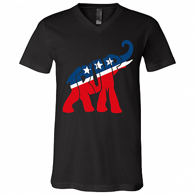 V-Neck T-Shirt