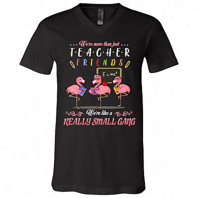 V-Neck T-Shirt