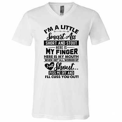 V-Neck T-Shirt