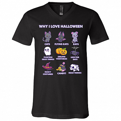 V-Neck T-Shirt