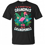 In A World Full Of Grandmas Be A Grandmingo T-Shirt