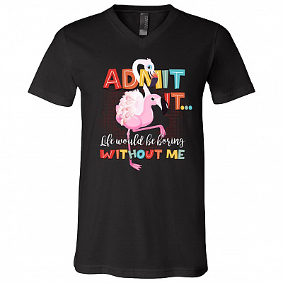 V-Neck T-Shirt