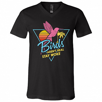 V-Neck T-Shirt