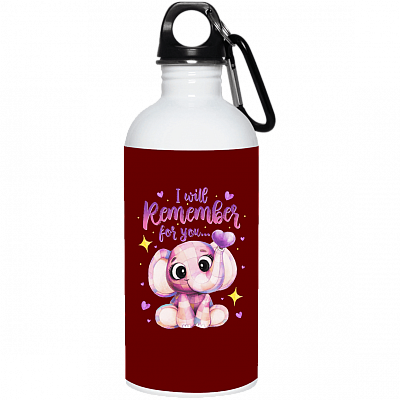 20 oz. Stainless Water Bottle