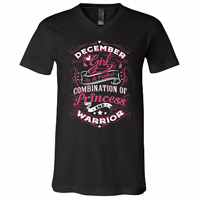 V-Neck T-Shirt