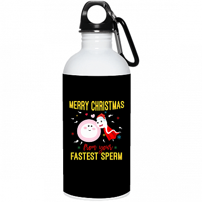 20 oz. Stainless Water Bottle