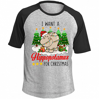 Short Sleeve Raglan Jersey