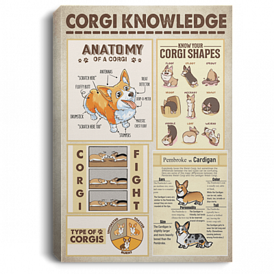 Corgi Knowledge Anatomy Of A Corgi Gallery Wrapped Framed Canvas Prints - Unframed Poster - Home Decor Wall Art