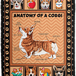 The Anatomy Of A Corgi Fleece Blanket - Sherpa Blanket - Woven Blanket
