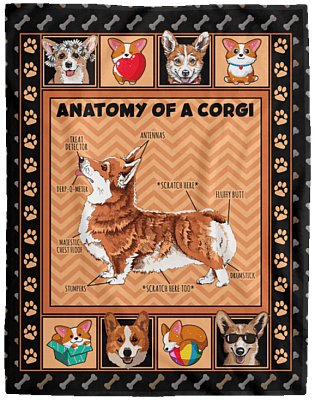 Cozy Plush Fleece Blanket - 60x80