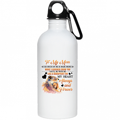 20 oz. Stainless Water Bottle