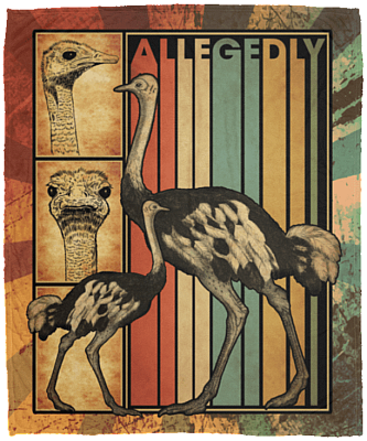 Allegedly Vintage Retro Fleece Blanket - Sherpa Blanket - Woven Blanket