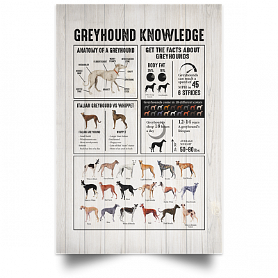 Unframed Poster