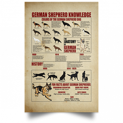 Unframed Poster