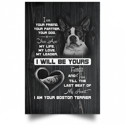 Unframed Poster