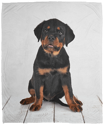 Rottweiler In Bed Fleece Blanket - Premium Sherpa Blanket - Woven Blanket