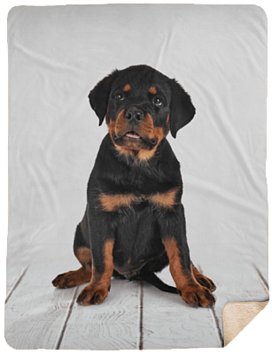 Sherpa Blanket - 60x80