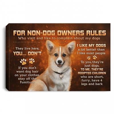 For Non-Dog Owners Rules For Who Visit And Like To Complain My Corgi Dogs Framed Canvas Prints - Unframed Poster