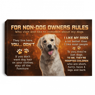 For Non-Dog Owners Rules For Who Visit And Like To Complain My Labrador Dogs Framed Canvas Prints - Unframed Poster