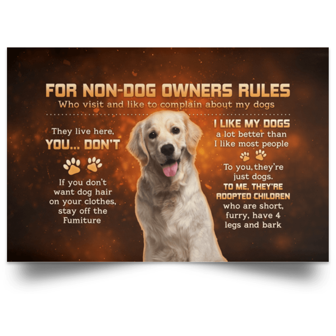 Labrador Retreiver House Rules For Non-Dog Owners Rules Labrador