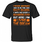 CubeBik I Never Dreamed I'd Be This Crazy Grandpa With The Cutest Grandkids Ever But Here I Am Living The Dream Shirt