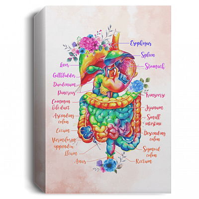 1.5'' Deluxe Canvas