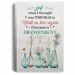 When I Thought I Was Too Old To Fall In Love Gallery Wrapped Framed Canvas Prints-Grandparent Unframed Poster, White, 0.75'' Framed Canvas
