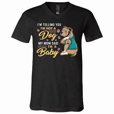 V-Neck T-Shirt