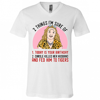 V-Neck T-Shirt