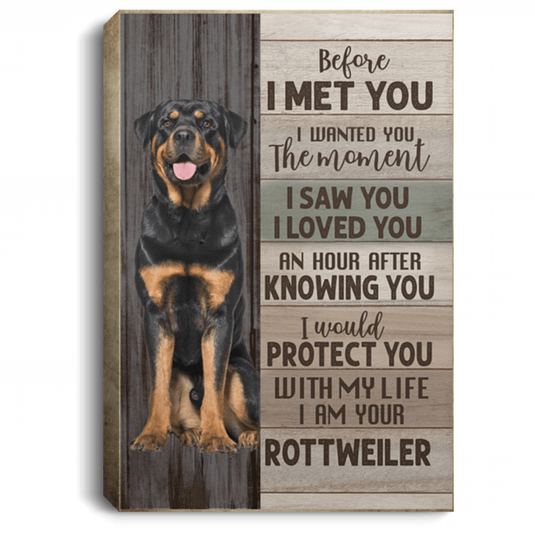 Before I Met You I Wanted You the Moment I Am Your Rottweiler Gallery Wrapped Framed Canvas - Unframed Poster, White, 0.75'' Framed Canvas
