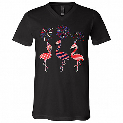 V-Neck T-Shirt
