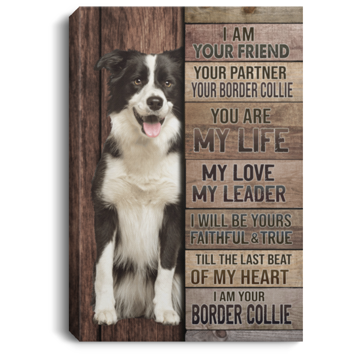 I Am Your Friend Your Partner Your Border Collie Gallery Wrapped Framed Canvas Prints - Unframed Poster, White, 0.75'' Framed Canvas I Am Your Friend Your Partner Your Border Collie Gallery Wrapped Framed Canvas Prints - Unframed Poster, White, 0.75'' Framed Canvas