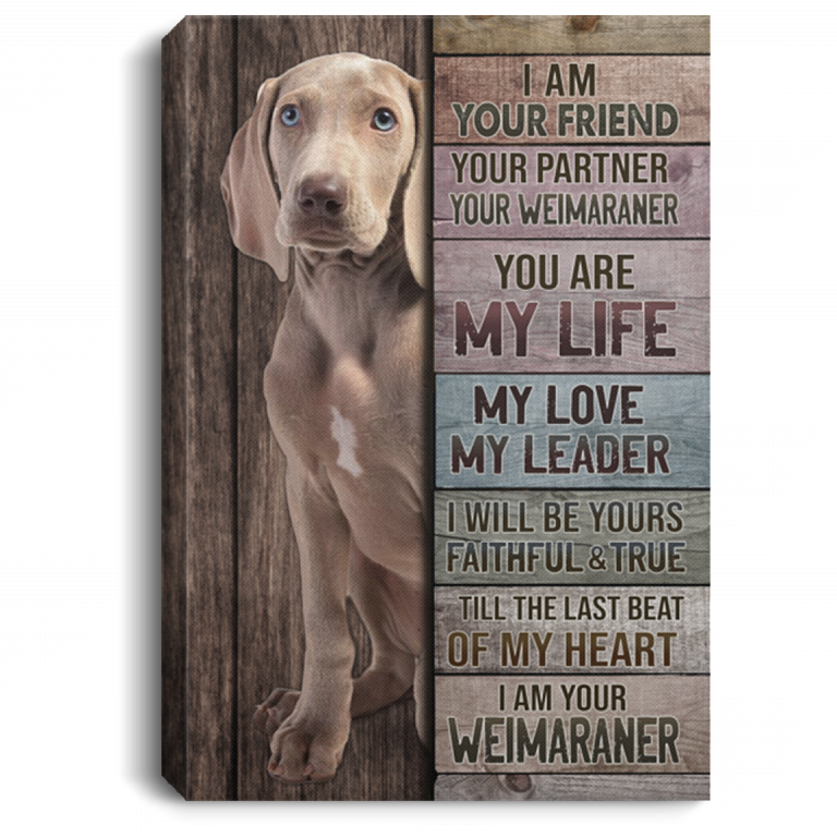 I Am Your Friend Your Partner Your Weimaraner Gallery Wrapped Framed Canvas Prints - Unframed Poster, White, 0.75'' Framed Canvas