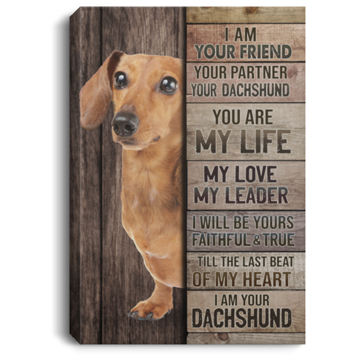 I Am Your Friend Your Partner Your Dachshund Gallery Wrapped Framed Canvas Prints - Unframed Poster, White, 0.75'' Framed Canvas I Am Your Friend Your Partner Your Dachshund Gallery Wrapped Framed Canvas Prints - Unframed Poster, White, 0.75'' Framed Canvas