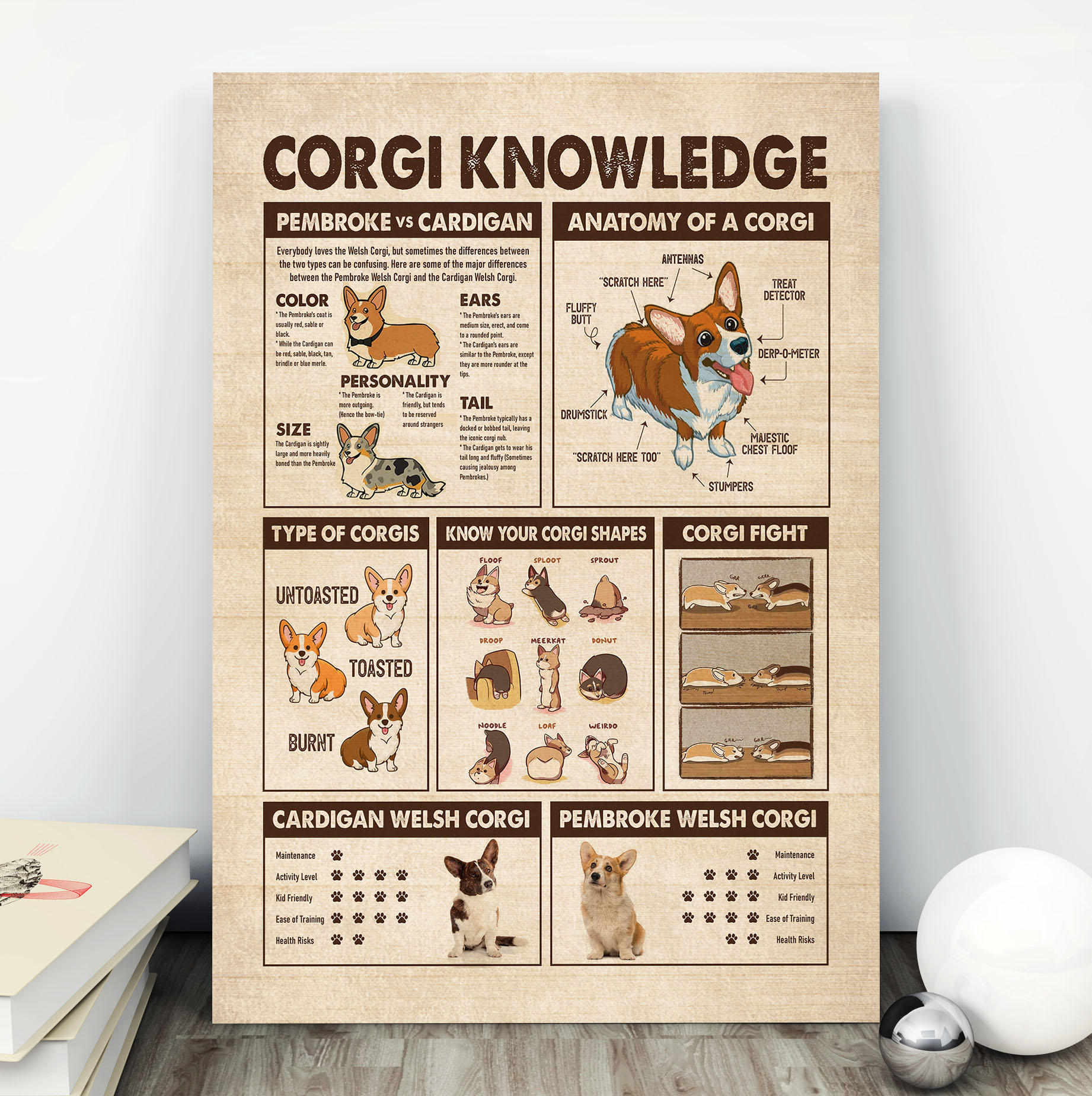 7H. Corgi Knowledge mk