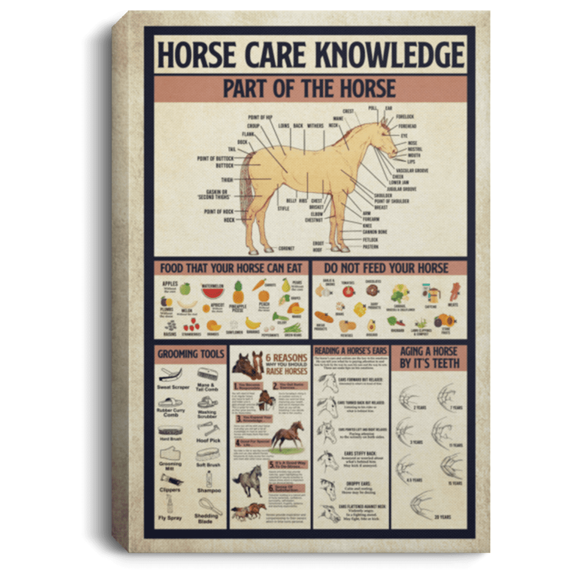 Horse Care Knowledge Framed Canvas - Unframed Poster - Love Horse Wall Art, White, 0.75'' Framed Canvas Horse Care Knowledge Framed Canvas - Unframed Poster - Love Horse Wall Art, White, 0.75'' Framed Canvas